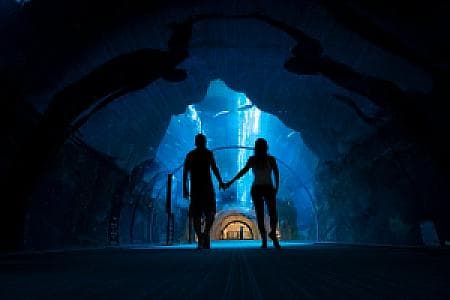 Indoor Activities in Dubai 2025: Beat the Heat with Top Attractions