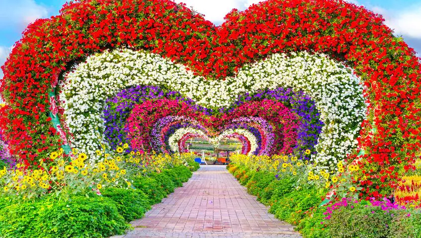 floral view of dubai miracle garden