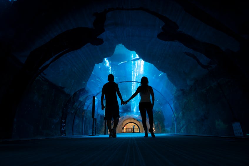 a couple holding hands in aquarium of dubai mall enjoying indoor activities