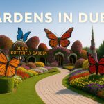 garden in dubai are butterfly and miracle garden which are attractive and fabulous.