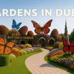 garden in dubai are butterfly and miracle garden which are attractive and fabulous.