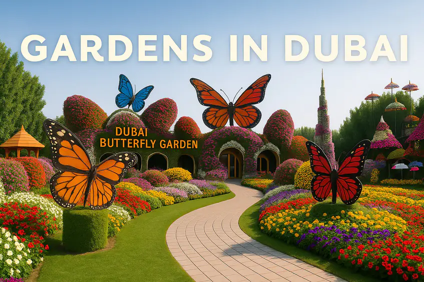 garden in dubai are butterfly and miracle garden which are attractive and fabulous.